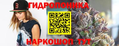 гашиш Сланцы