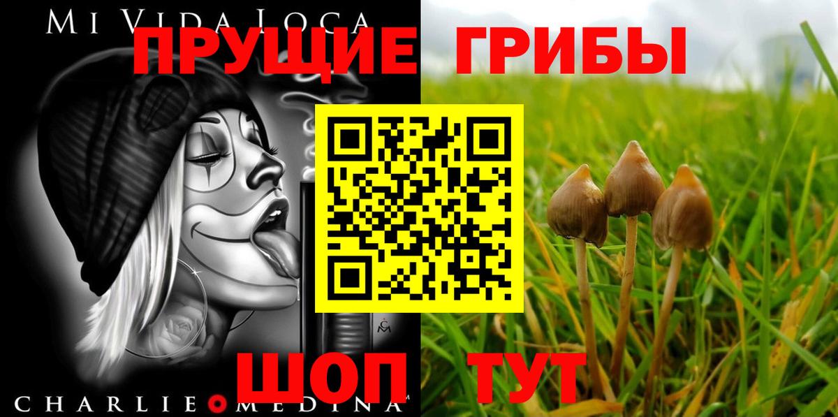Галлюциногенные грибы Psilocybe Орехово-Зуево